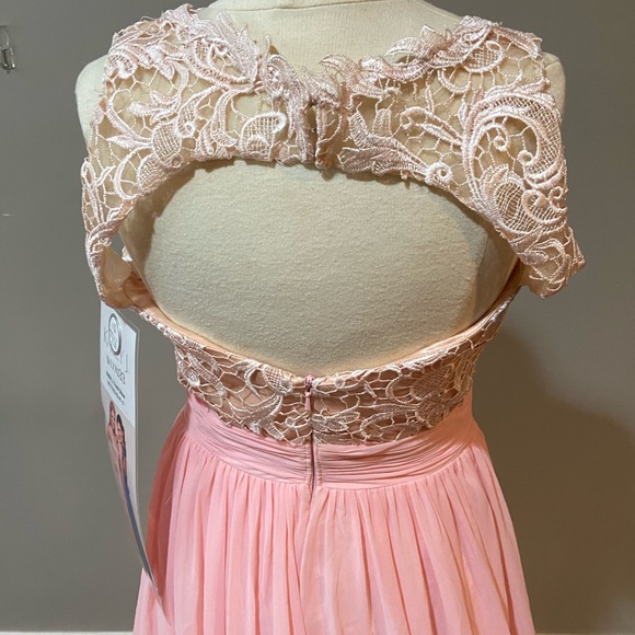 Blush Lace Chiffon Prom Long Dress Size 6 - Picture 5 of 7